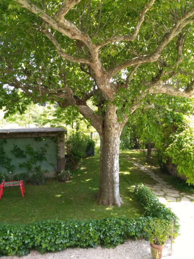Reve D'Emma Bed & Breakfast Plan-d'Orgon Bagian luar foto