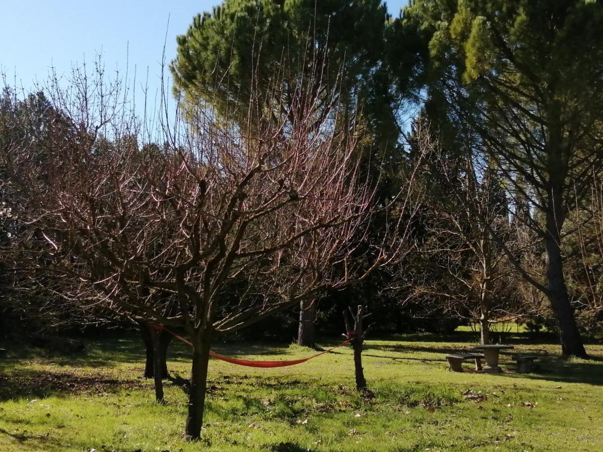 Reve D'Emma Bed & Breakfast Plan-d'Orgon Bagian luar foto